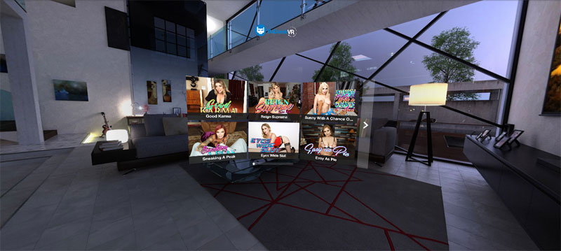 BaDoinkVR Theater Mode